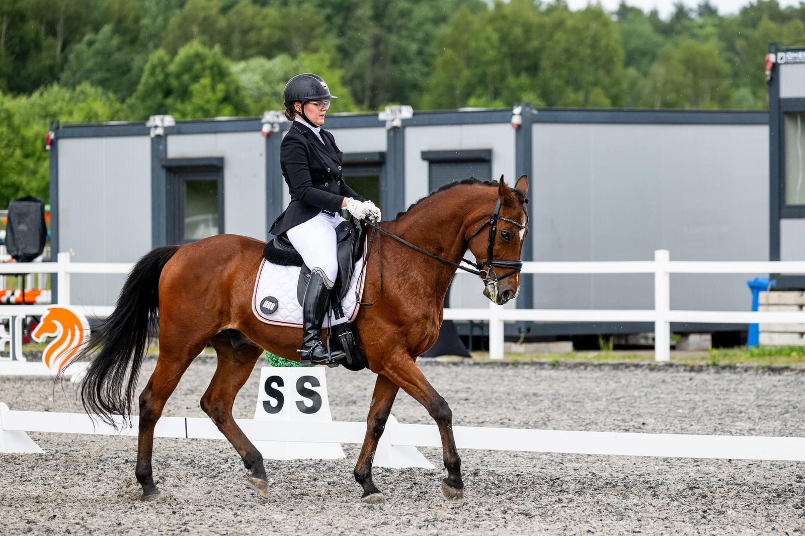 Zuzanna Gruca riding Macrim in the dressage arena