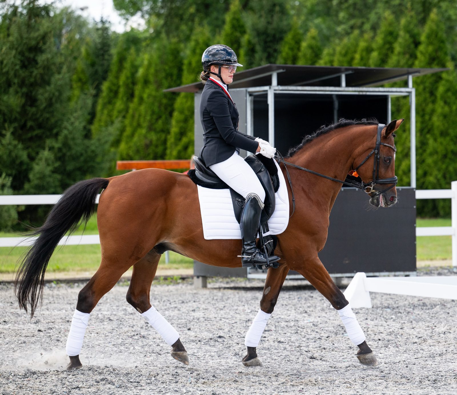 Zuza and Macrim in motion